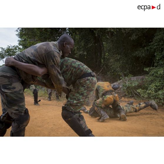 Des gendarmes ivoiriens s'entraînent au combat rapproché sous la supervision d'instructeurs du 13e bataillon de chasseurs alpins (BCA) à Abidjan, en Côte d'Ivoire.