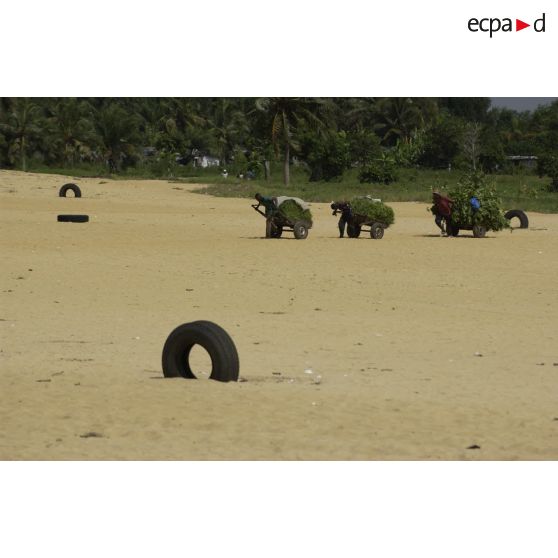 Vie quotidienne à Abidjan. Des hommes tirent des chariots loudement chargés de végétation sur le sable.