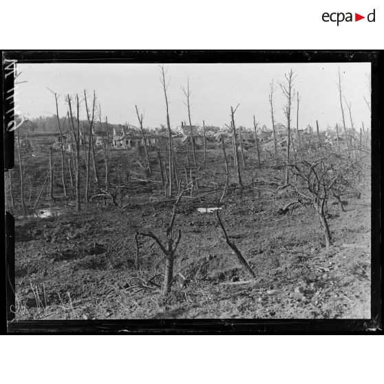 Pinon, vues d'ensemble sur les ruines. [légende d'origine]