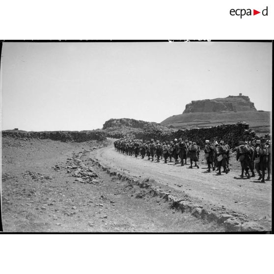 Une colonne du 17e RTS marche sur une piste du Djebel Druze.