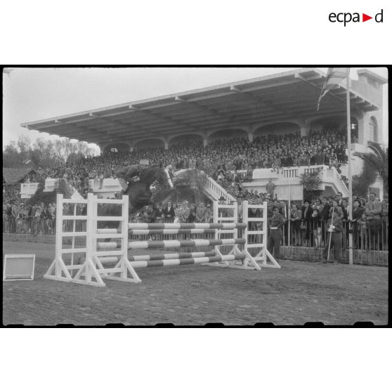 Saut d'obstacles pour un cavalier lors du 11e concours hippique international d'Alger.