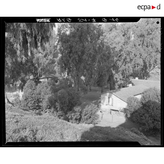 Vue sur des habitations précaires dans la région d'Alger.