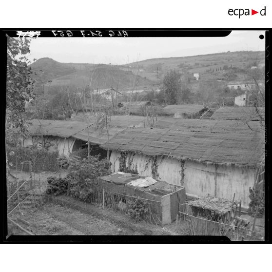 Vue extérieure sur un bidonville de la région d'Alger.