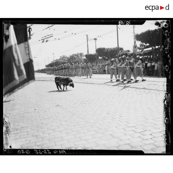 Défilé des tirailleurs lors du 14 juillet à Alger présidé par le gouverneur général de l'Algérie Robert Léonard.