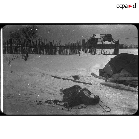 Medyn - Woronov. [Un cadavre dans la neige]. [Description en cours]