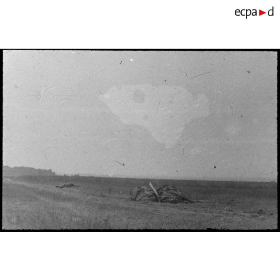 Normandie. [Cadavres de chevaux]. [Description en cours]