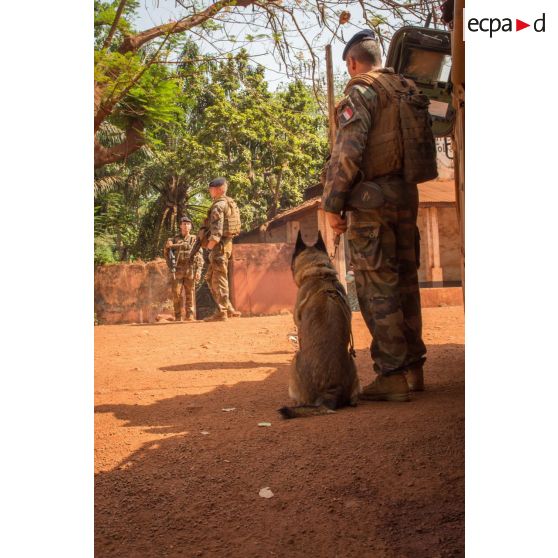 Maître-chien de la compagnie Rouge du 1er RT du GTIA (groupement tactique interarmes) Turco en mission de contrôle sur un check-point établi sur l'axe du marché central de Bambari, en compagnie des casques bleus de la MINUSCA (mission multidimensionnelle intégrée des Nations Unies pour la stabilisation en Centrafrique).