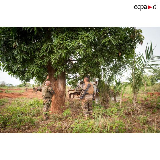 Soldats du 25e RGA autour d'un arbre, inspectant une zone à déboiser en prévision de la réalisation d'un terrain de football au profit des habitants du village de Makangé.