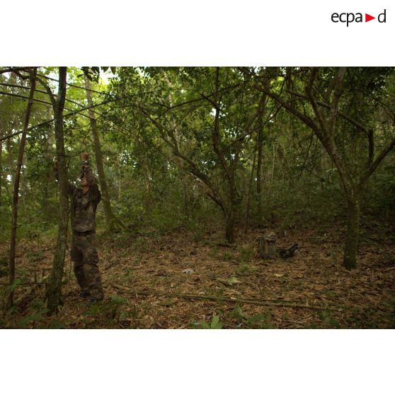 Un légionnaire du 3e régiment étranger d'infanterie (3e REI) attache des troncs d'arbre pour en faire des piquets de tente lors d'un bivouac à Ouanary, en Guyane française.