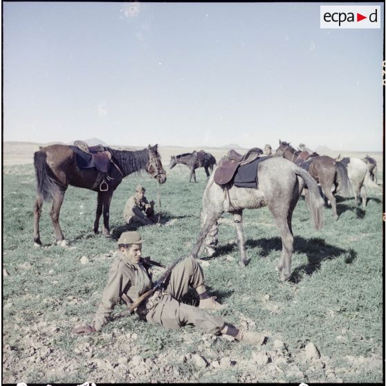 Des goumiers gardant les chevaux de leurs camarades effectuant la fouille d'un village.