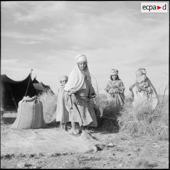 Pacification dans le massif de l'Ouarsenis, le plateau du Sersou, le djebel Nadar et l'Oued Kheliff.