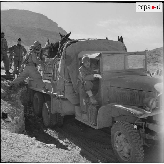 Pacification dans le massif de l'Ouarsenis, le plateau du Sersou, le djebel Nadar et l'Oued Kheliff.