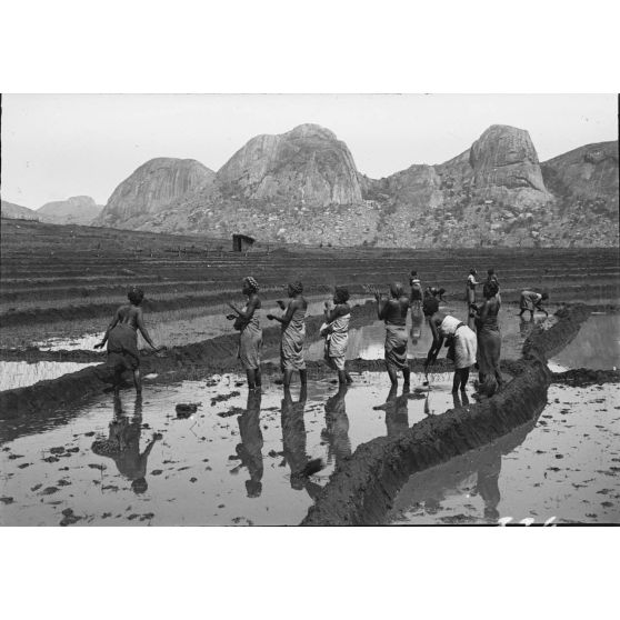 Fête du riz à Antambohobe. [légende d'origine]