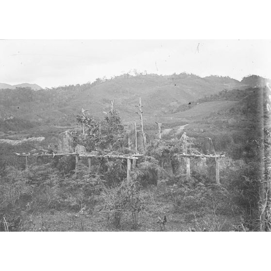 Tombeau près de Befotaka du sud (Andrabé). [légende d'origine]