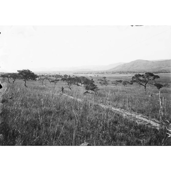 Une route de la vallée d'Ihosy. [légende d'origine]