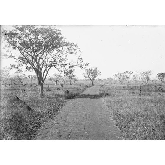 Route de Beremka. [légende d'origine]