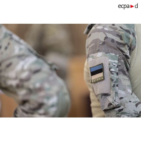 Rassemblement des soldats des forces spéciales estoniennes à Gao, au Mali.