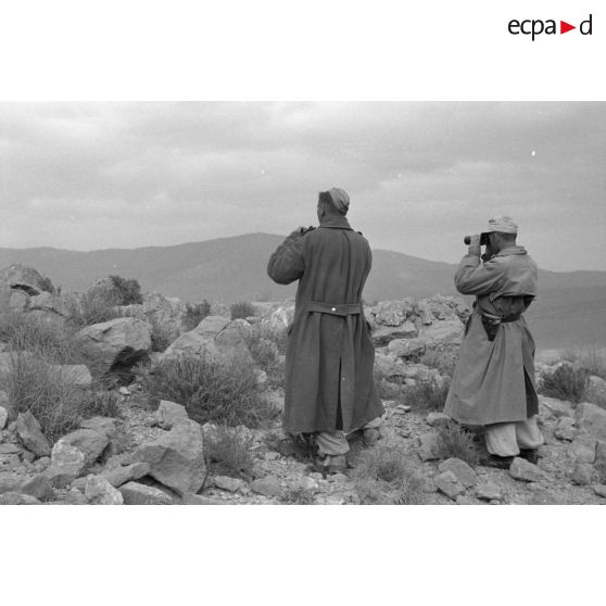 Deux officiers allemands du Panzer Grenadier Regiment Afrika (Pz.Gren.Rgt Afrika) observent le terrain à la jumelle.