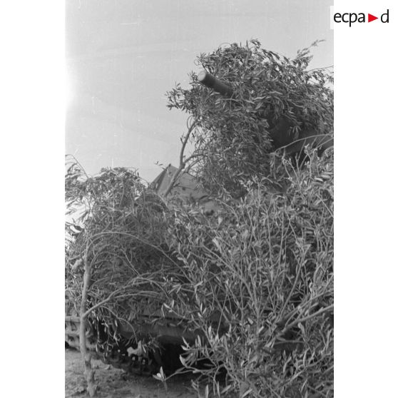 Un char Panzer III (Pz-III Ausf-L) est camouflé sous des branchages près d'une habitation de pierre.