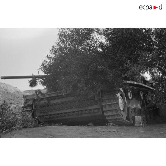 Un char Panzer III (Pz-III Ausf-L) camouflé sous un arbuste.