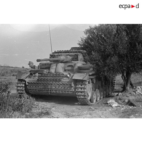 Un char Panzer III (Pz-III) camouflé entre des arbres, il s'agit d'un Pz-III Ausf-L.