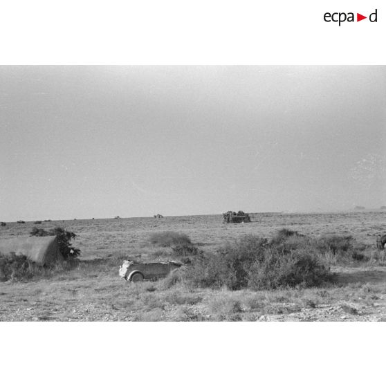 Cantonnement d'une unité blindée, sûrement le Panzer Regiment 5 (Pz.Rgt-5), dans le désert.