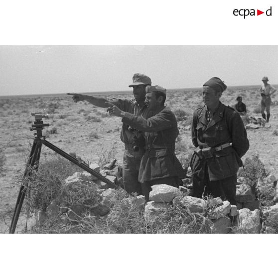 Deux officiers, l'un italien, l'autre allemand, observent le terrain en compagnie d'un bersaglier.