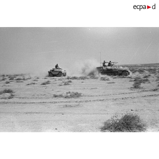 Un semi-chenillé Sdkfz-250/3 et un Daimler Scout Car roulent en provoquant un nuage de poussière.