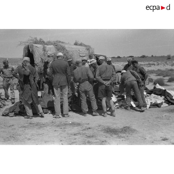 Des soldats du Panzer Regiment 5 (Pz.Rgt-5) se regroupent et essaient de nouveaux effets et des moustiquaires (Casques coloniaux, vareuses, bottes et brodequins).