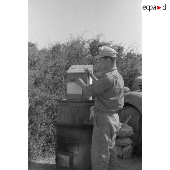 Un Leutnant poste son courrier dans une boîte aux lettres installée sur un baril.