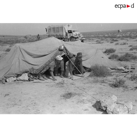 Activités dans un campement de la 21 Panzer Division (21-Pz.Div.) au repos.