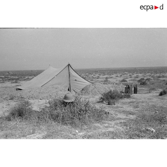 Activités dans un campement de la 21 Panzer Division (21-Pz.Div.) au repos.