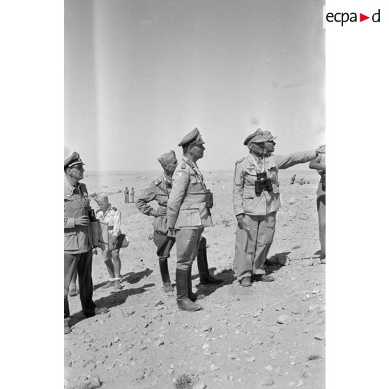 Cette réunion rassemble le maréchal (Generalfeldmarschall) Erwin Rommel, le général (Generalleutnant) Hermann-Bernhard Ramcke (commandant de la 1. Fallschirmjäger-Brigade), l'Oberst Westphal, le général Federico Ferrari-Orsi, commandant du Xe corps d'armée italien.