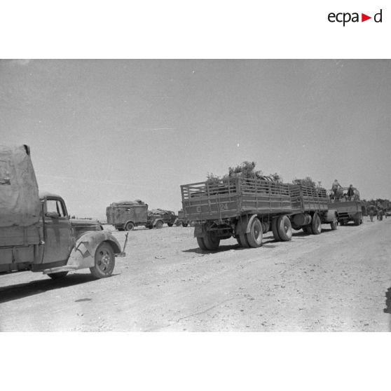 Une colonne de camions de l'Axe (italiens et Allemands) progresse sur la route côtière.