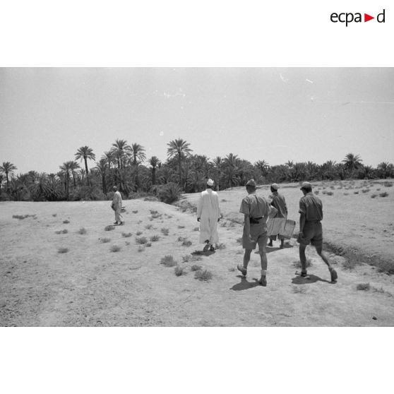 Dans l'oasis de Siwa.