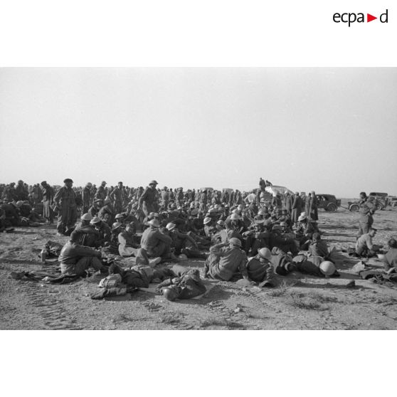 Rassemblement de prisonniers du Commonwealth, certainement issus de l'armée néo-zélandaise.