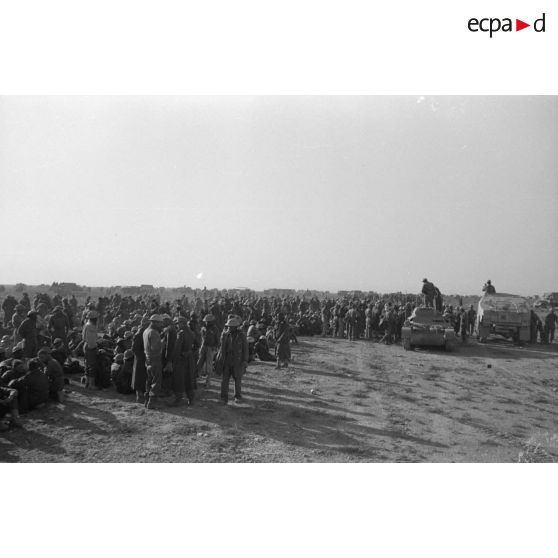 Rassemblement de prisonniers du Commonwealth, certainement issus de l'armée néo-zélandaise.