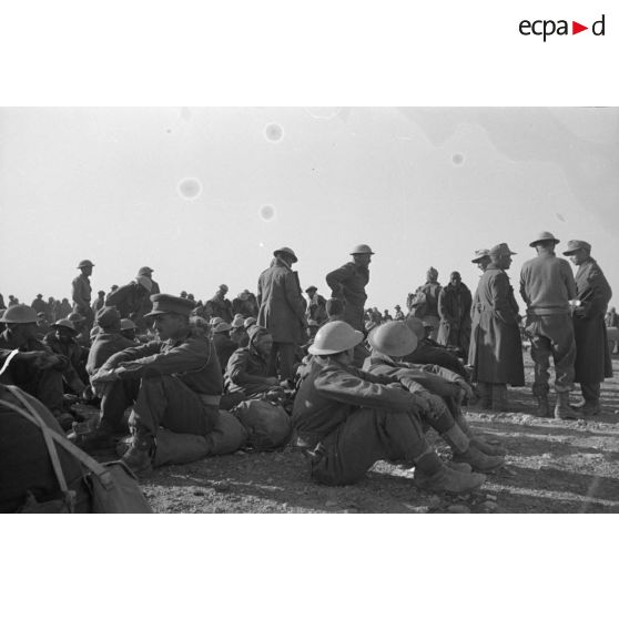 Rassemblement de prisonniers du Commonwealth, certainement issus de l'armée néo-zélandaise.