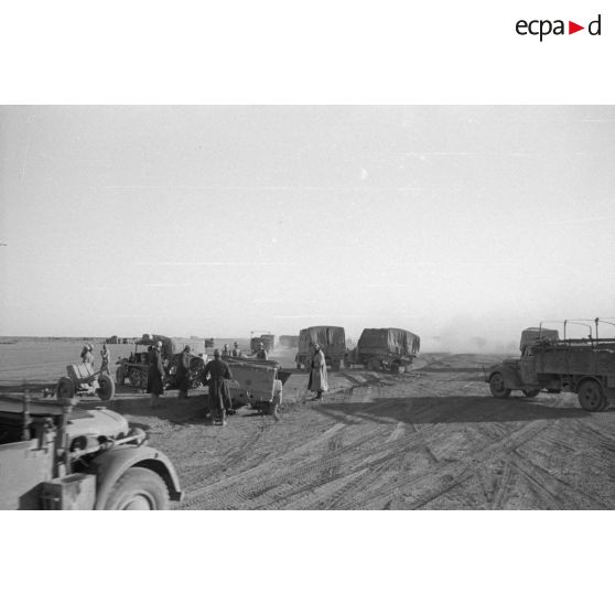 Une colonne de camions marque une pause dans le désert, au centre le capitaine Fromm du I./Flak-Regiment 33 entouré d'un semi-chenillé Sd.kfz.10 DEMAG tractant un canon de 3,7 cm PaK 36/37.