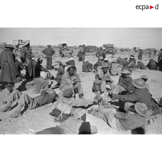 Regroupement de prisonniers de la 2e division sud-africaine (2nd South African division).