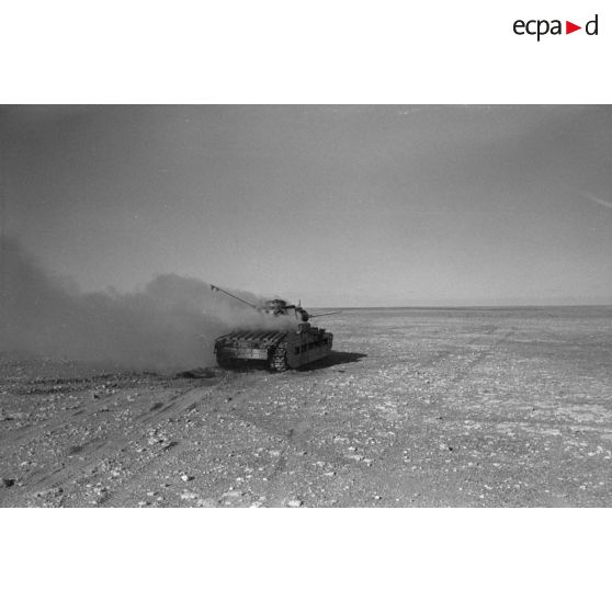 ImagesDéfense Blindé britannique Matilda Mark II détruit dans le désert.