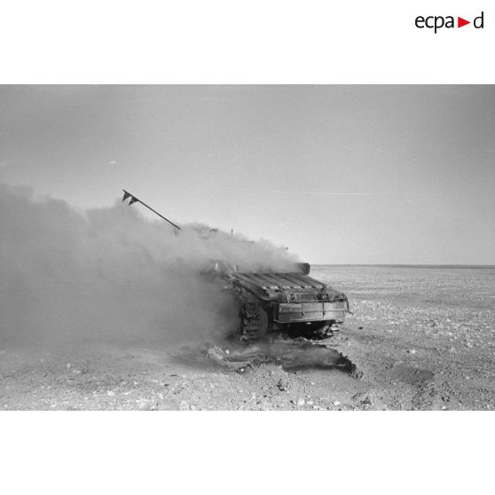 ImagesDéfense Blindé britannique Matilda Mark II détruit dans le désert.