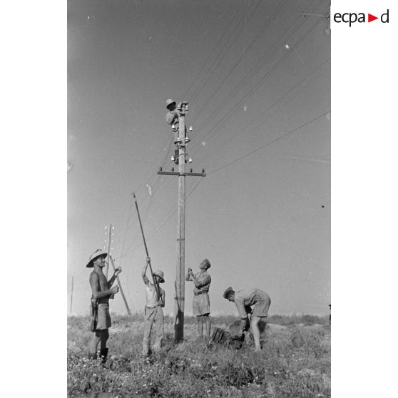 Installations de lignes téléphoniques.