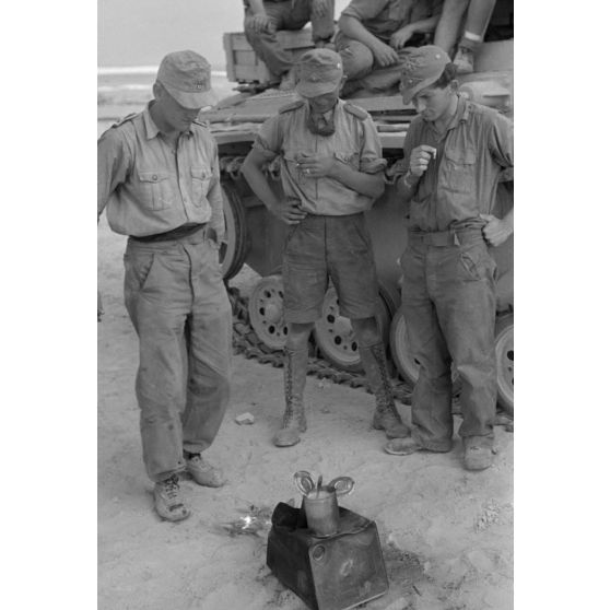 Repas de deux équipages de chars Panzer III progressant dans un désert égyptien.