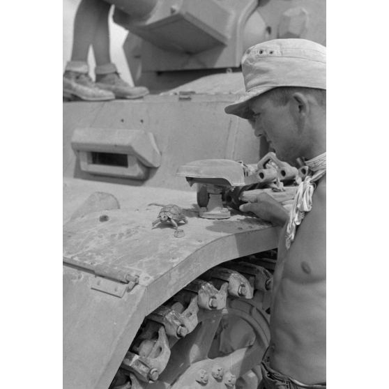 Repas de deux équipages de chars Panzer III progressant dans un désert égyptien.