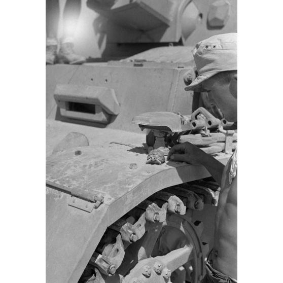 Dans un désert égyptien, une tortue de terre amuse un membre d'équipage de char Panzer III .