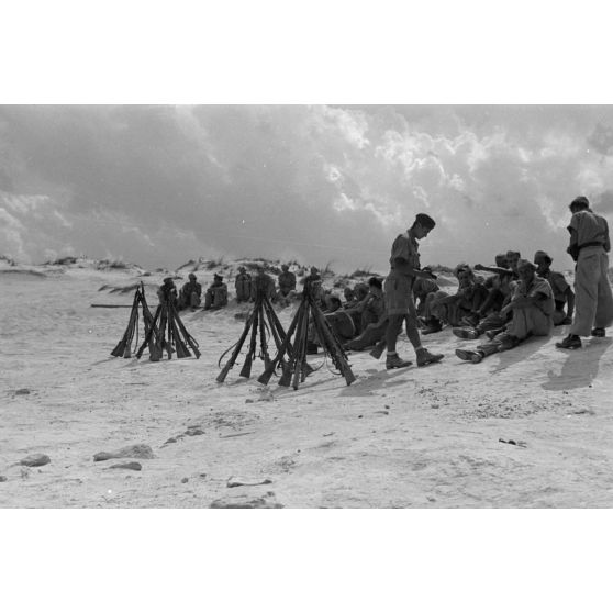 En Egypte, un exercice de tir pour les aviateurs du Staffel.