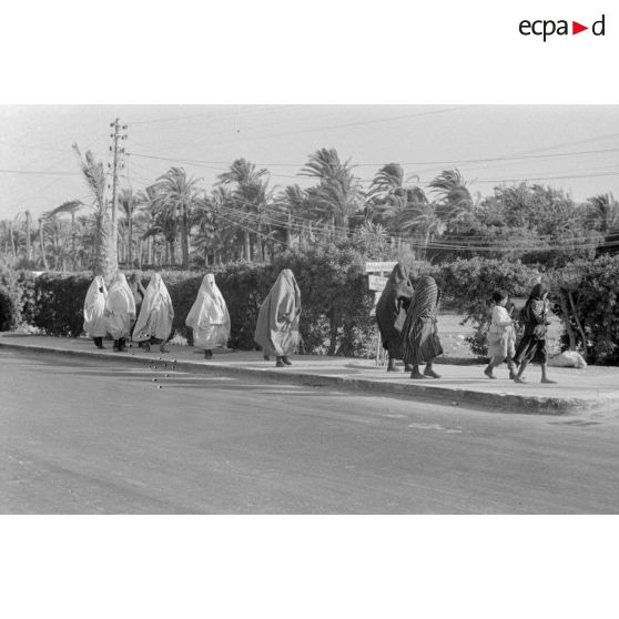 Scènes de rues en Tunisie, peut-être à El Jem (à confirmer).