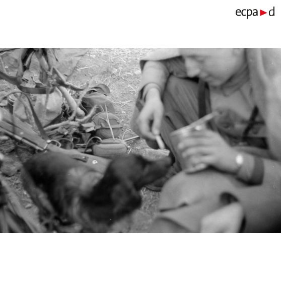 Un chien semble intéressé par la gamelle d'un parachutiste allemand.