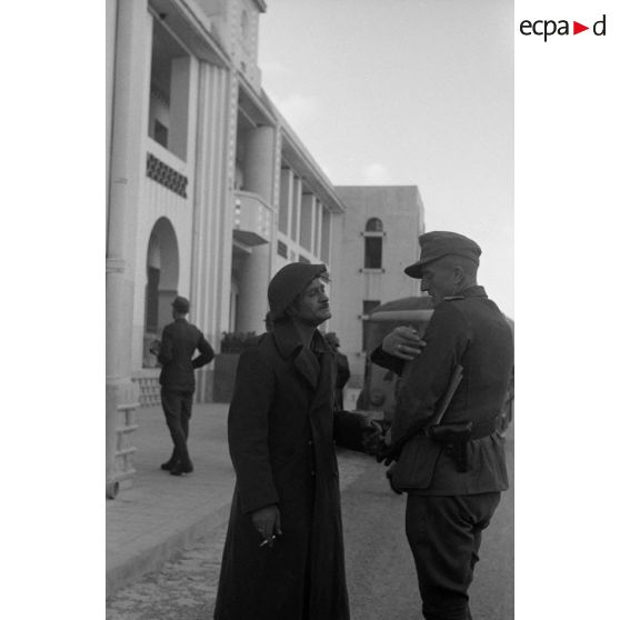 A Tunis, entretien avec des prisonniers britanniques de la 78e division d'infanterie (78.ID).